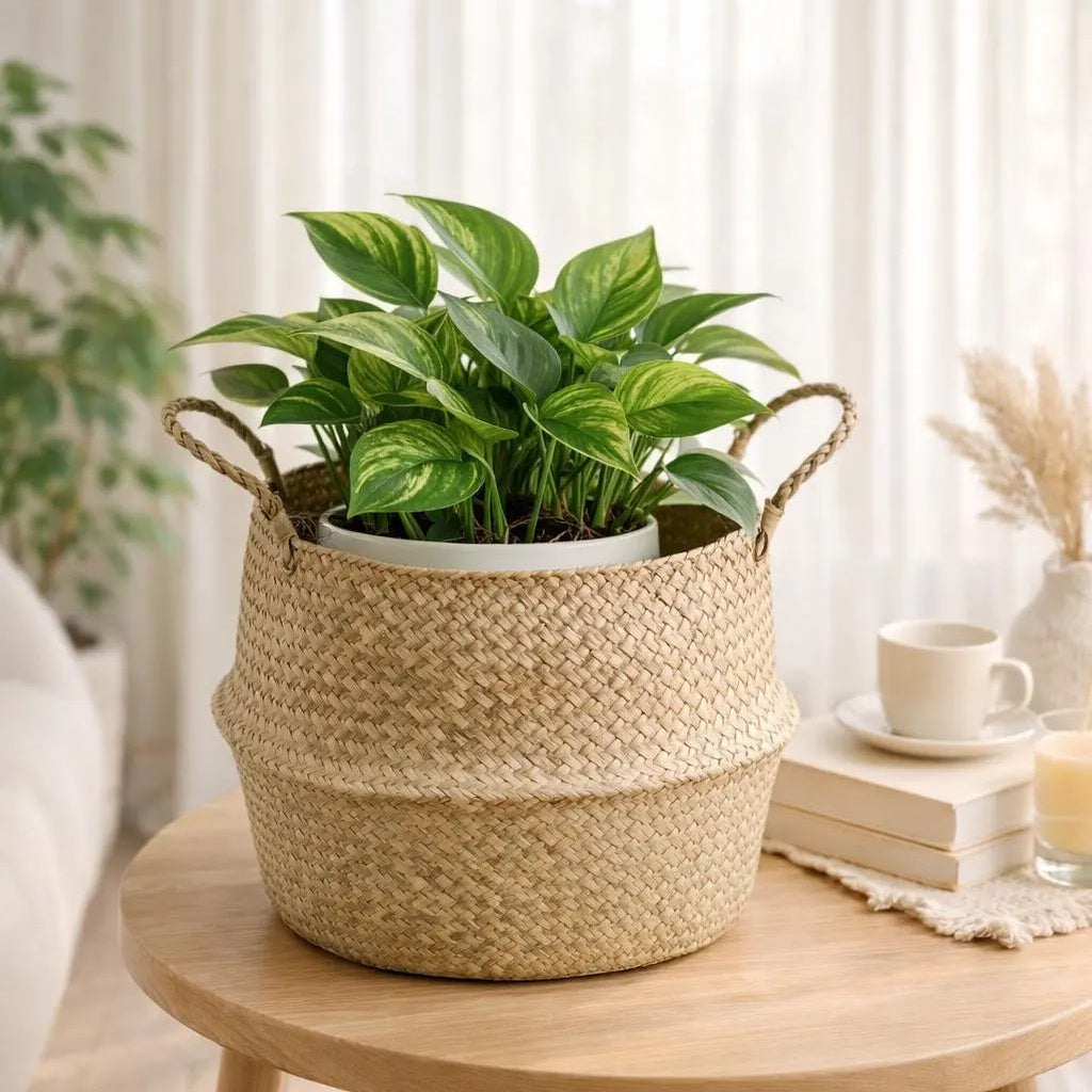 Seagrass Belly Basket, Woven Storage Organizer, Plant Pot Cover, Boho Laundry Hamper, Natural Decor