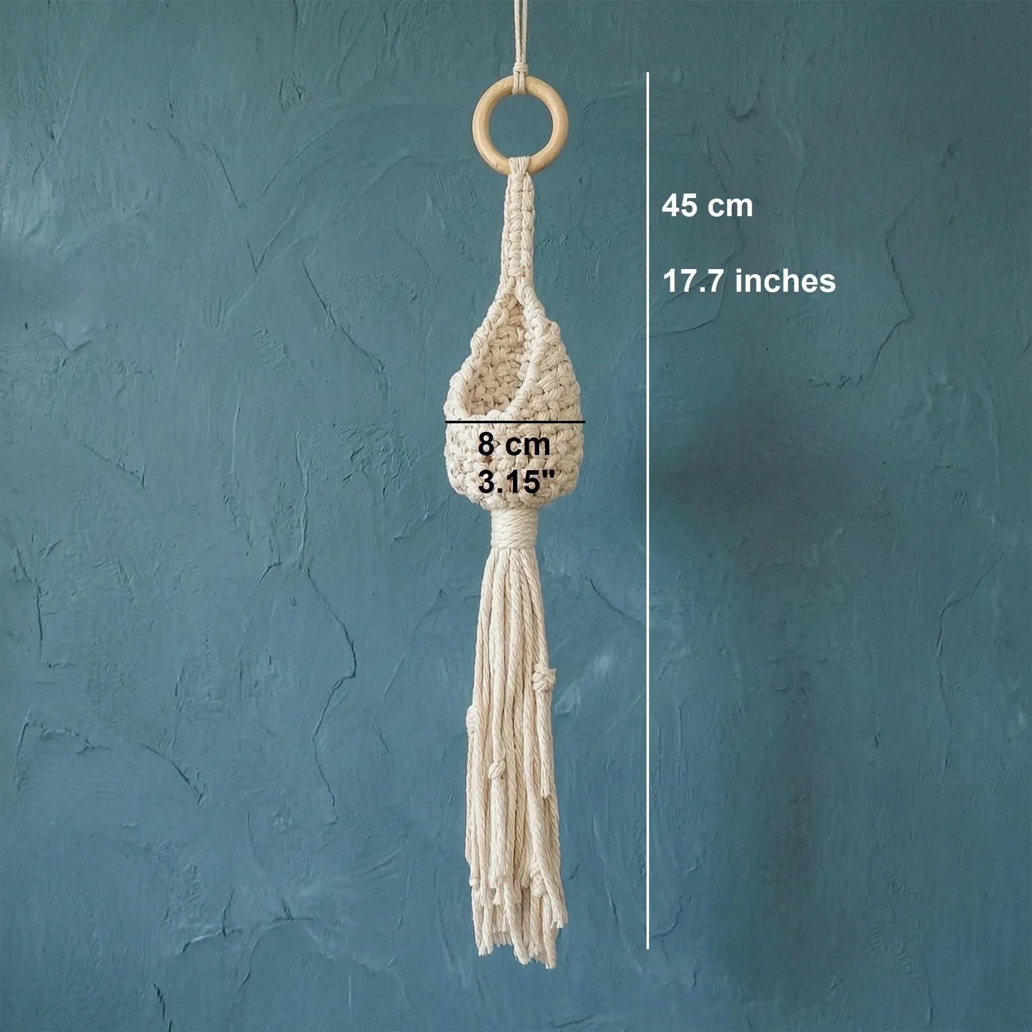Macrame Plant Hanger Air Plant Holder | Boho Wall Hanging Crochet Planter | Farmhouse Decor Set