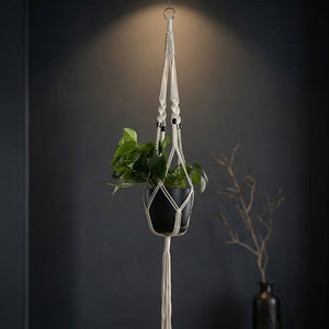 Classic macrame plant hanger with knot-bead rope texture on dark grey wall, dramatic spotlight, boho plant decor