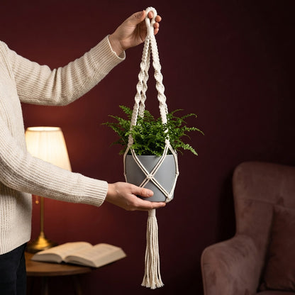 Hand holding classic macrame plant hanger with potted plant against dark burgundy wall, cozy reading nook