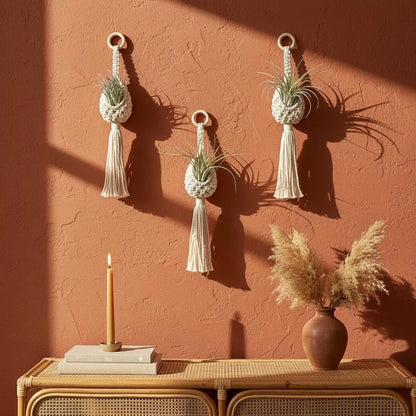 Macrame Plant Hanger Air Plant Holder | Boho Wall Hanging Crochet Planter | Farmhouse Decor Set