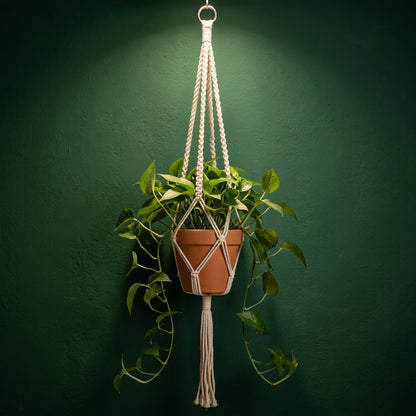 Minimalist macrame plant hanger metal ring top on dark green wall with terracotta pot, boho indoor plant decor