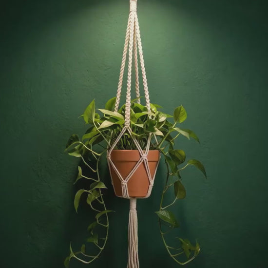 macrame plant hanger metal ring top on dark green wall with terracotta pot, boho indoor plant decor