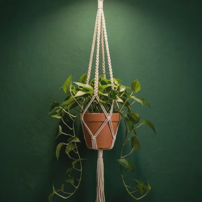 macrame plant hanger metal ring top on dark green wall with terracotta pot, boho indoor plant decor