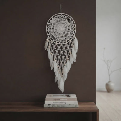 Boho Dreamcatcher  with Faux Feathers slow promotion video