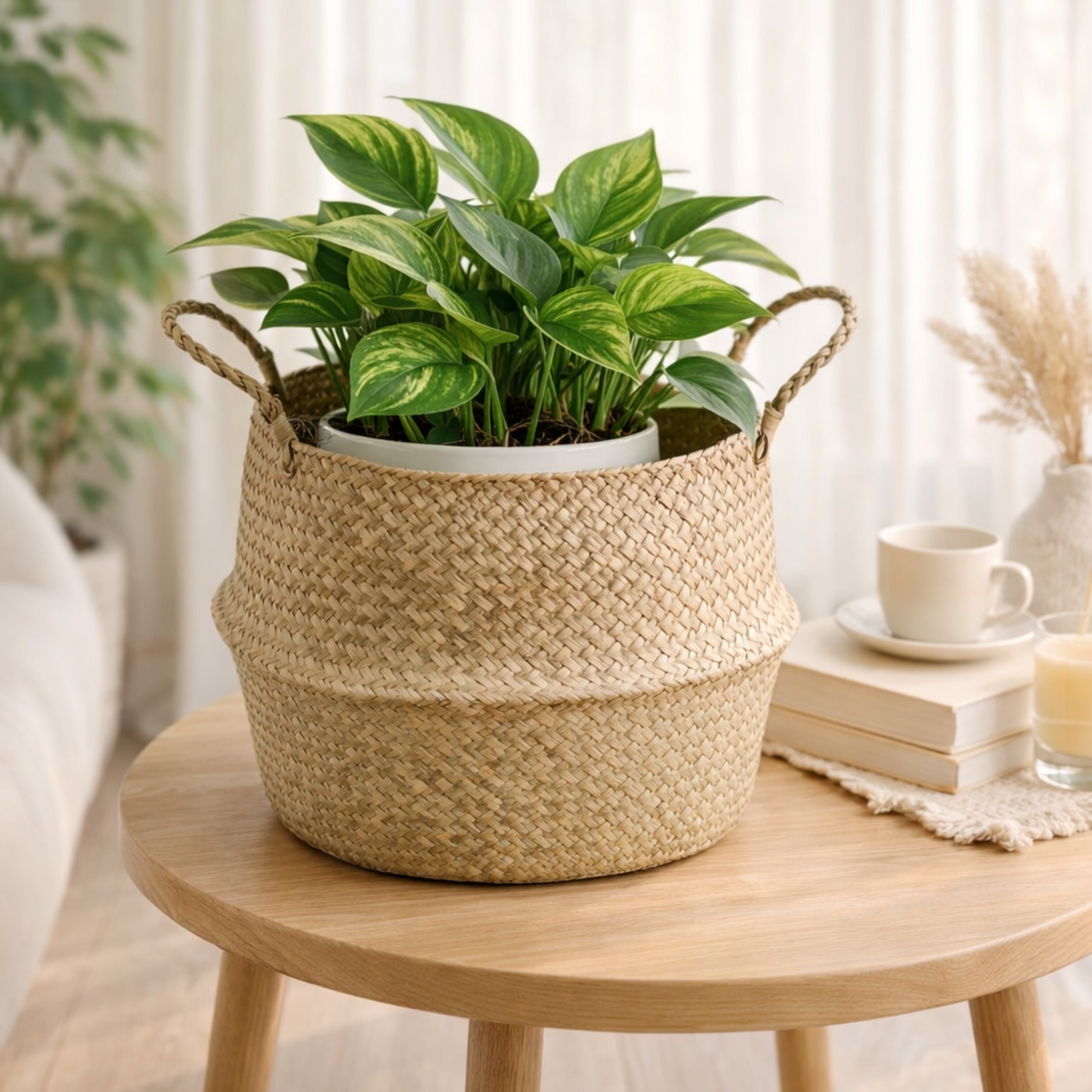 Seagrass woven belly basket as plant pot cover indoor planter bohemian home decor
